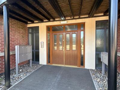Picture 11